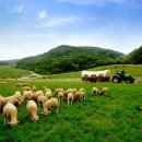 대인목장 이미지