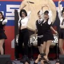 더 스틸 이미지