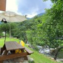 그곳만이 내 세상 이미지