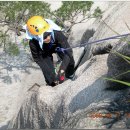 푸른솔길 이미지