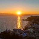 대명 인터내셔널 이미지