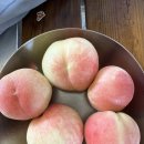 남일농장 이미지