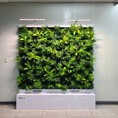 강동동행정복지센터 이미지