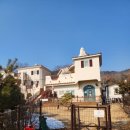 콩스빌리지 | 강아지랑 신나게 뛰어놀고 온 강화도 로만티카 애견리조트!