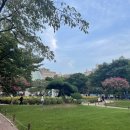 방배천로6길 33-8 이미지