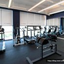 헬스 바디 라인업 이미지