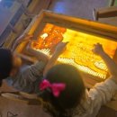 해룡초등학교 병설유치원 이미지