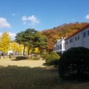 (주)일등자동차 이미지