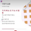 사랑의 슬픔 - 이치현과 벗님들 이미지