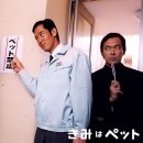 펫갤러리 이미지