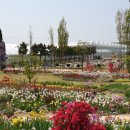 꽃회사농장 이미지