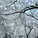2월 한라산 설산 등반 후기2 / 등산 복장 / 성판악 코스 / 준비물 /