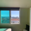 시아네민박 이미지