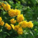 어머니의 마음 이미지