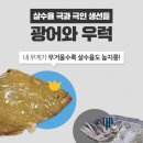우리활어 이미지