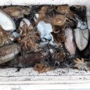 태안마트(주) 이미지