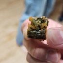 오성통닭 이미지