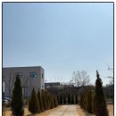 카페모닝 | 대전 구암동 대형 카페 모닝트리 후기