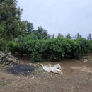 덕송부동산중개사무소 이미지