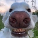 룰루랄라 이미지