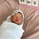 온산후조리원 | 창원 진해 온산후조리원 후기