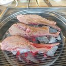 대교양고기 이미지