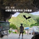 (주)충주호크루즈노동조합 | 단양고수동굴 여름휴가추천 입장료,할인,주차 단양가볼만한곳 국내 충청도 8월 서울근교 당일치기 여행지