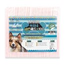 (주)코리아독스 이미지