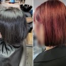 더힐즈뷰티