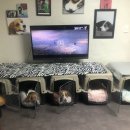 행복크린세탁소 이미지