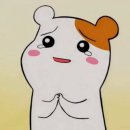 짙은포토그라피