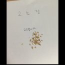 한우식육점 - 창원시 마산회원구 양덕남1길 26 | 한우식육점