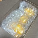 플러스농장 | [싱싱플러스협력농장] 성주참외 로얄급 꿀 참외 당일신선안전수령 솔직후기