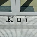 Koi | 대구 남산동 감성 카페 추천! 애견동반 가능 + 치즈케이크 맛집 ㅣ 코이(Koi) 솔직 후기