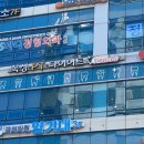 팀와일드울프 - 광명시 금하로 464 | 팀와일드울프