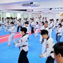 국가대표 최강 태권도장 이미지
