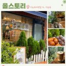올스토리