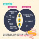 항암 치료 중 발생하는 장폐색증(Bowel Obstruction) ​ 이미지