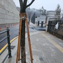 처인고등학교 티스토리