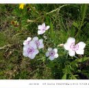 여주-0608 이미지