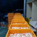 와룡농원 | 햇사레 장호원 복숭아 와룡농원 방문★