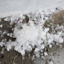 우박이네 이미지