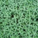 다정한 농장 이미지