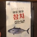 용하초밥참치 이미지