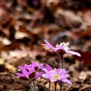 열린사랑방 이미지