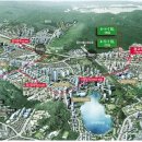 서울강남청과