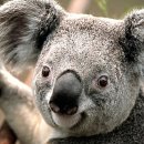 동인목장 이미지