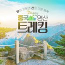 화산여행사