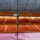 먼당농장 이미지