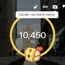 베어빈